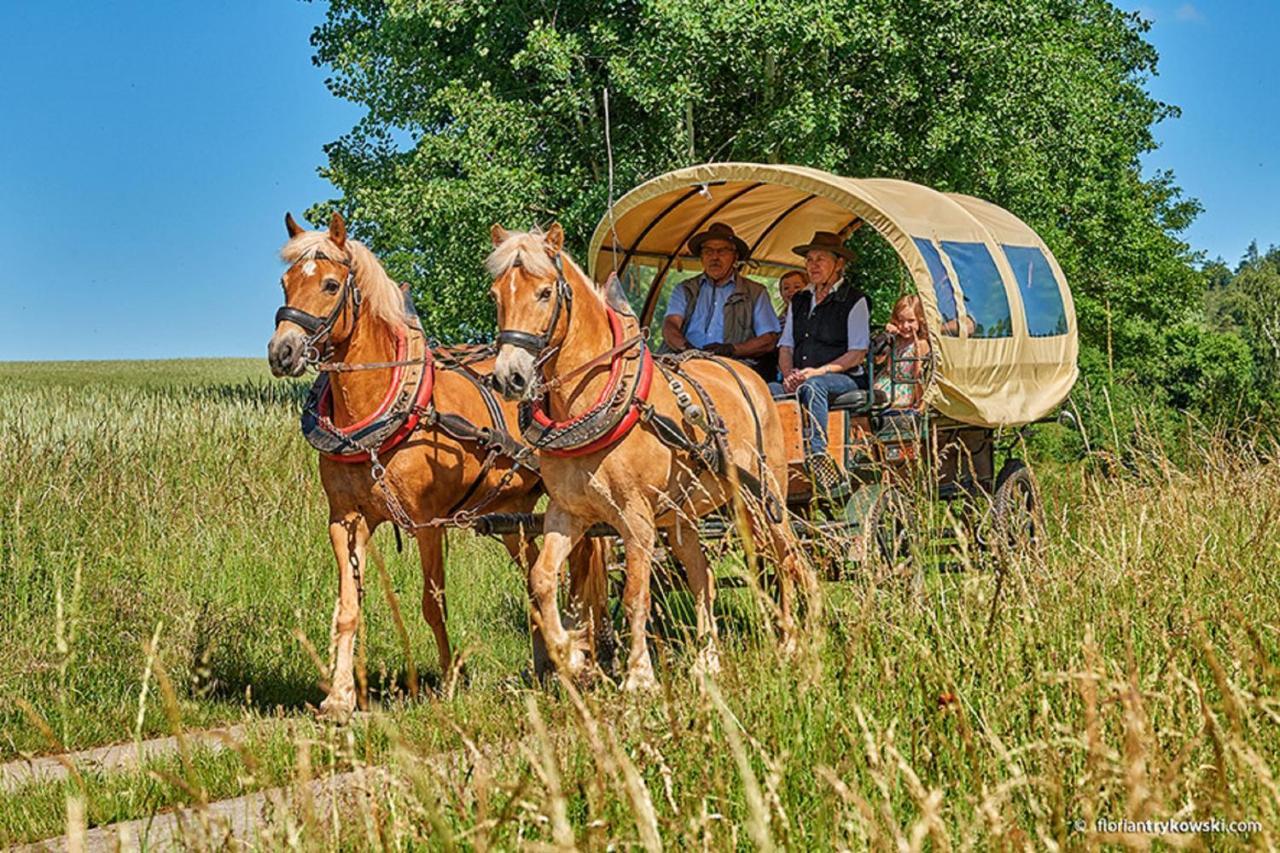 Апартаменты Haflingerhof Galster Markt Taschendorf Экстерьер фото